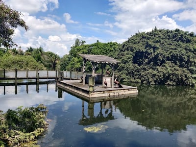 Palm Beach Zoo & Conservation Society