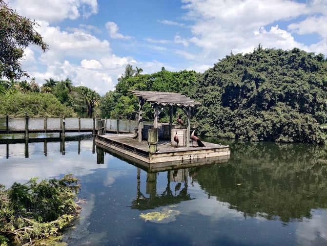 Palm Beach Zoo & Conservation Society